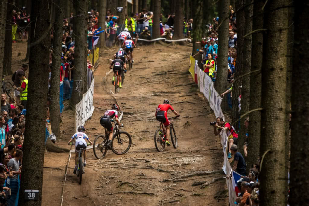 Une montée dans la forêt